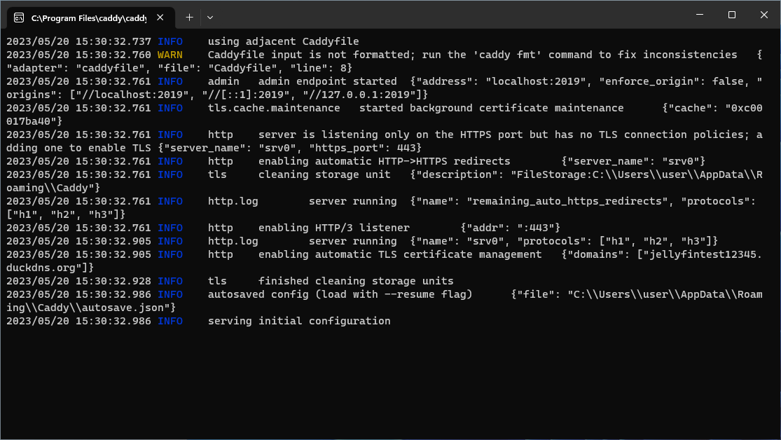 running caddy terminal